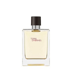 Hermes Terre D'Hermes Eau de Toilette 100 ml